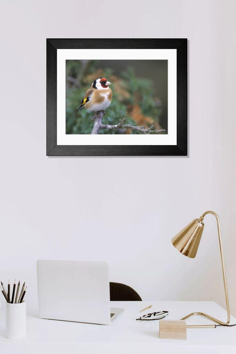 Shown hanging in a room: Modern 14"x12" (36x31cm)