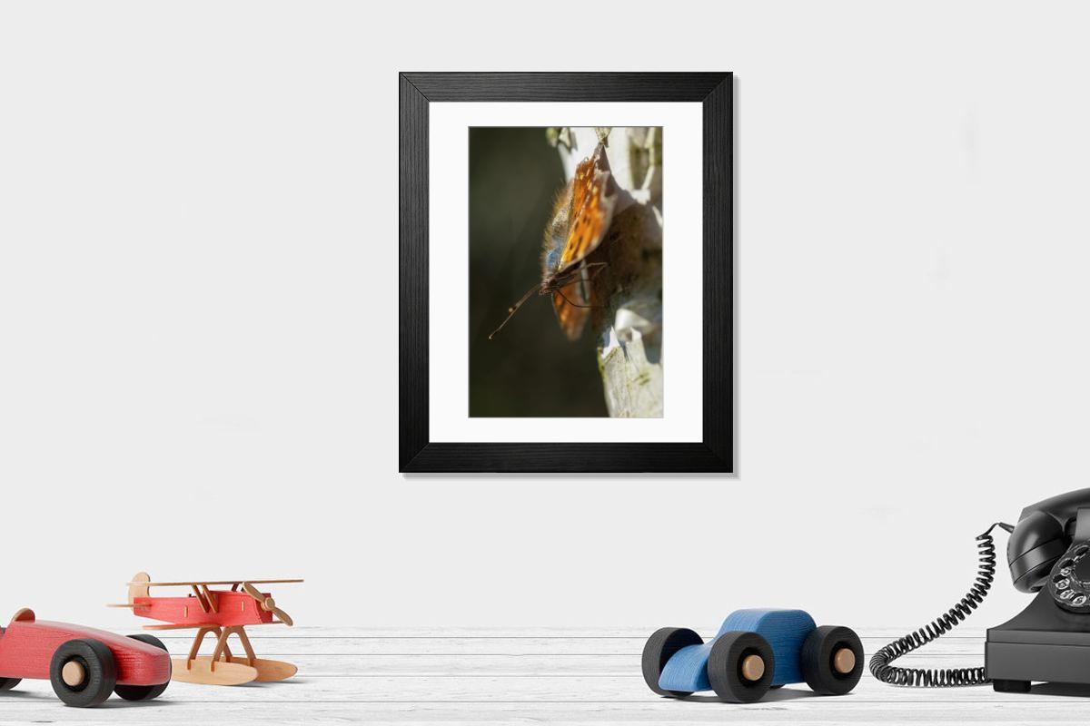 Shown hanging in a room: Modern 14"x12" (36x31cm)