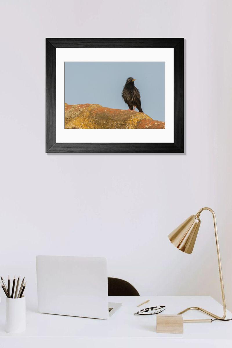 Shown hanging in a room: Modern 14"x12" (36x31cm)