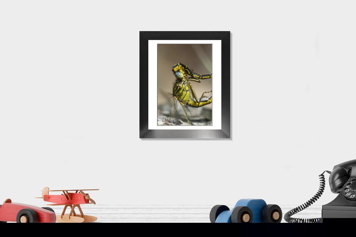Shown hanging in a room: Modern 12"x10"