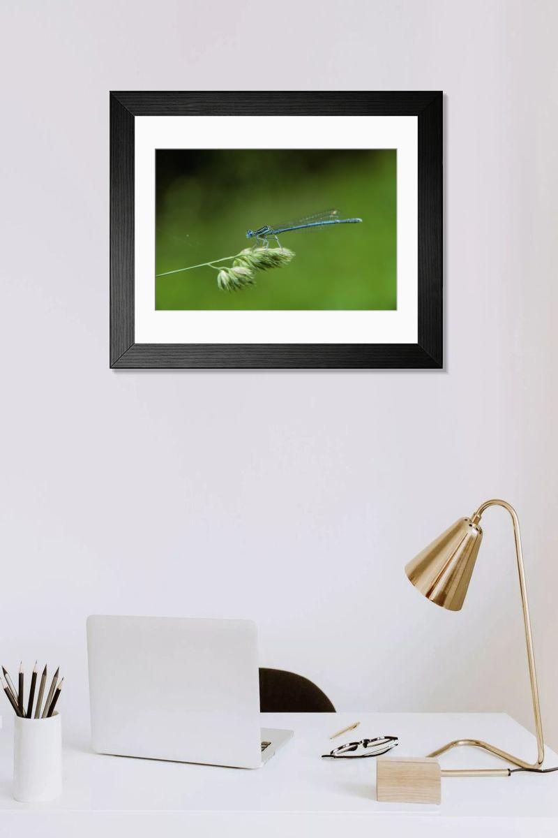 Shown hanging in a room: Modern 14"x12" (36x31cm)