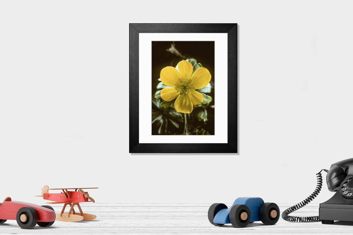 Shown hanging in a room: Modern 14"x12" (36x31cm)