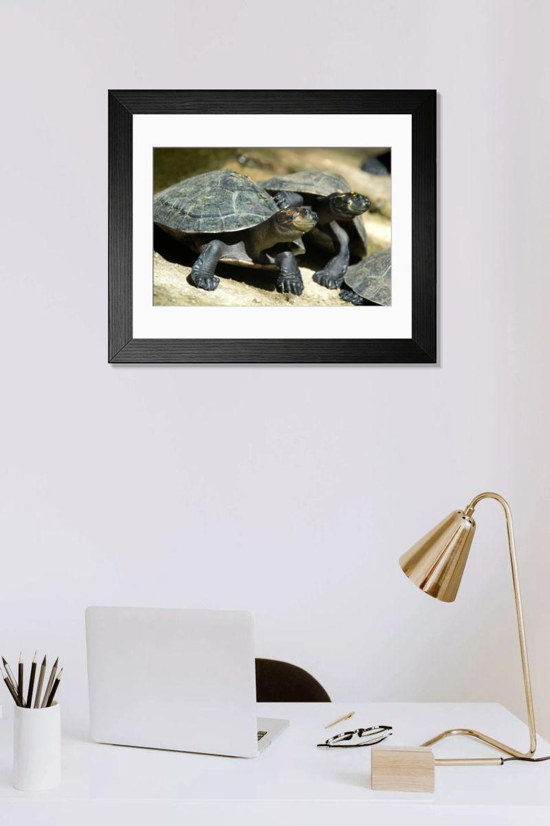 Shown hanging in a room: Modern 14"x12" (36x31cm)
