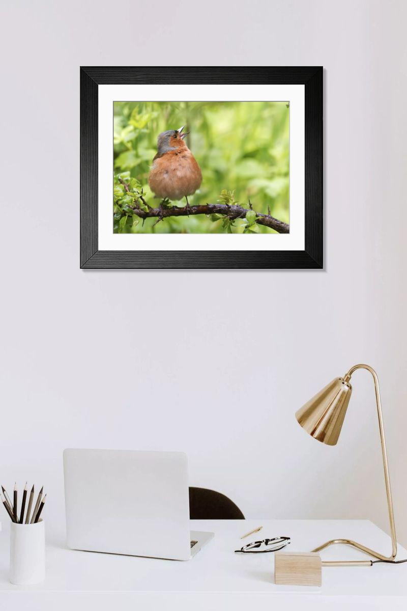 Shown hanging in a room: Modern 14"x12" (36x31cm)