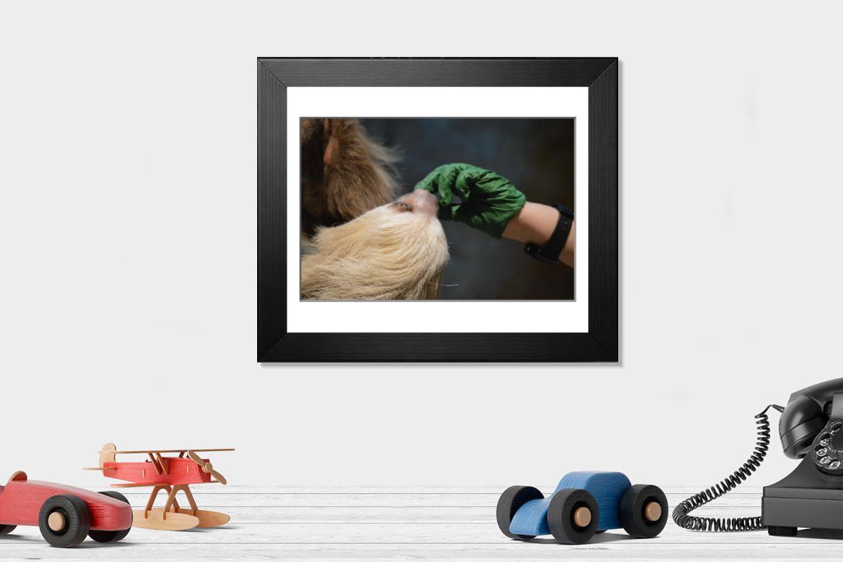product preview 0