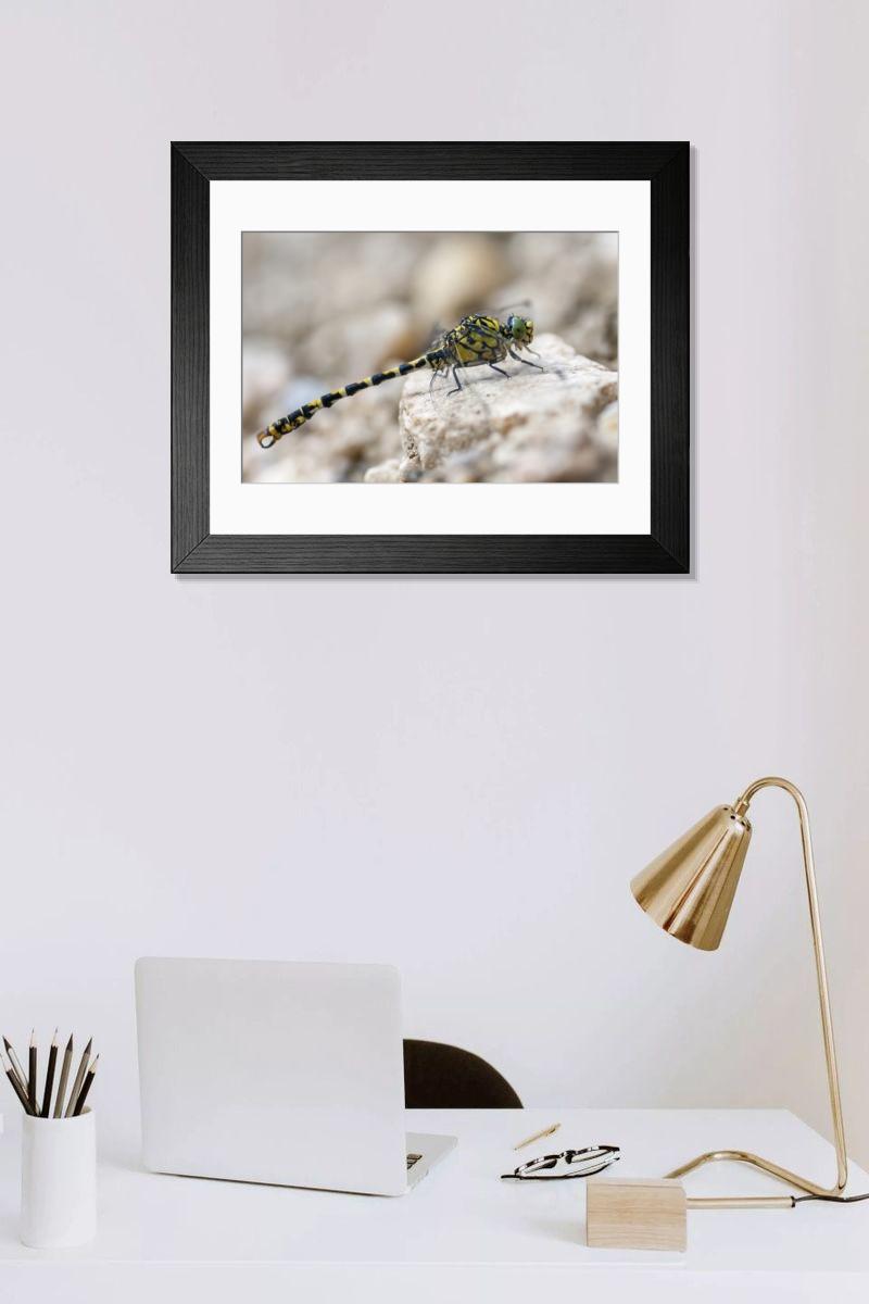 Shown hanging in a room: Modern 14"x12" (36x31cm)