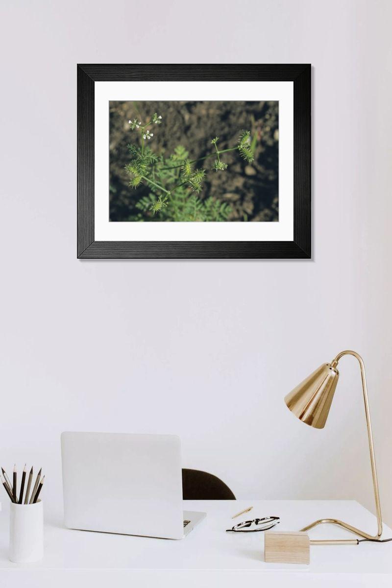 Shown hanging in a room: Modern 14"x12" (36x31cm)