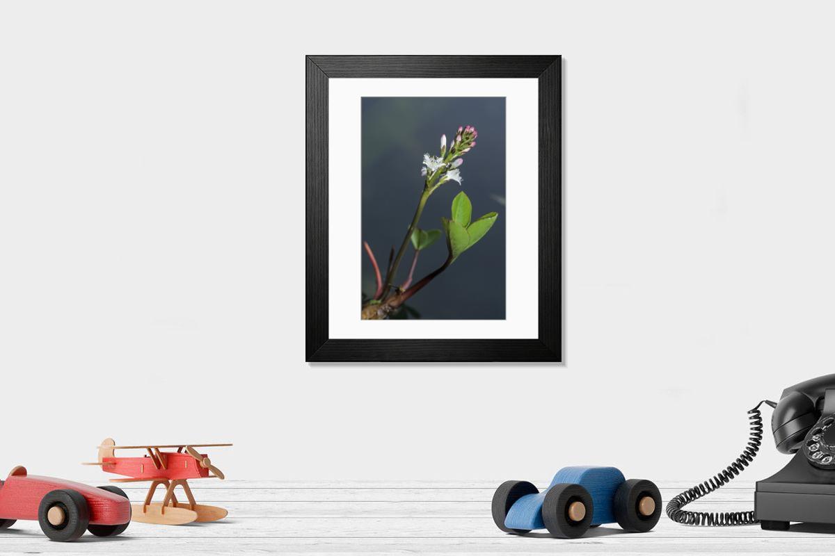 Shown hanging in a room: Modern 14"x12" (36x31cm)