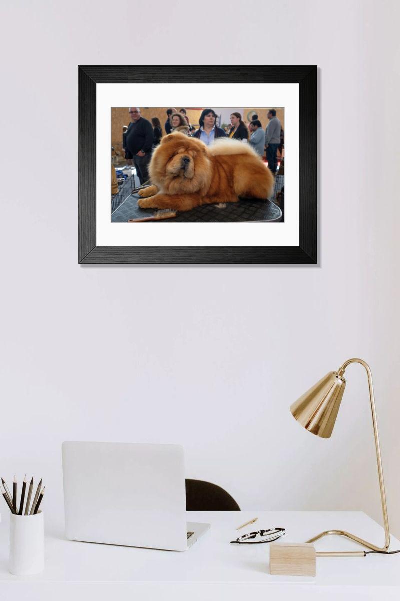product preview 0