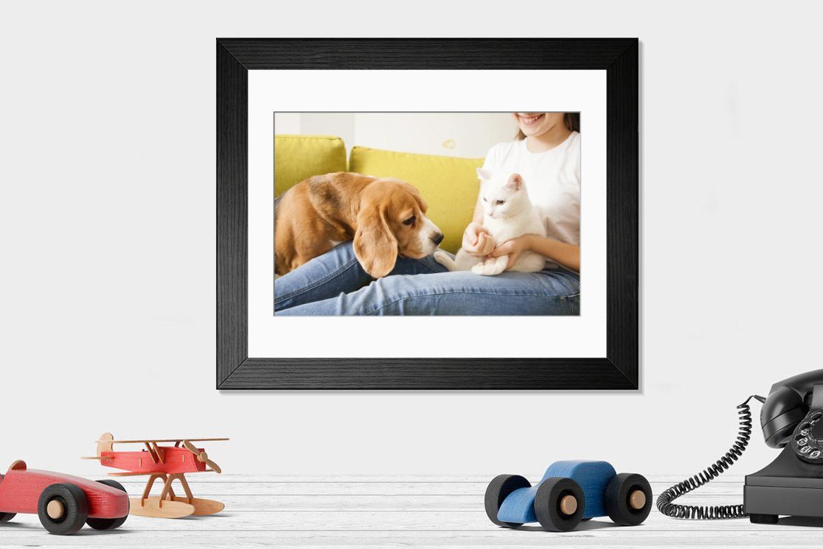 product preview 0