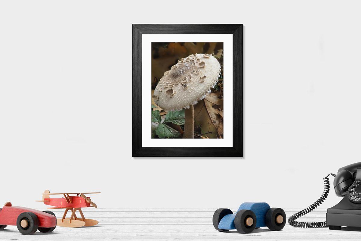 Shown hanging in a room: Modern 14"x12" (36x31cm)