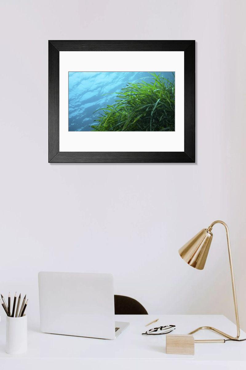Shown hanging in a room: Modern 14"x12" (36x31cm)