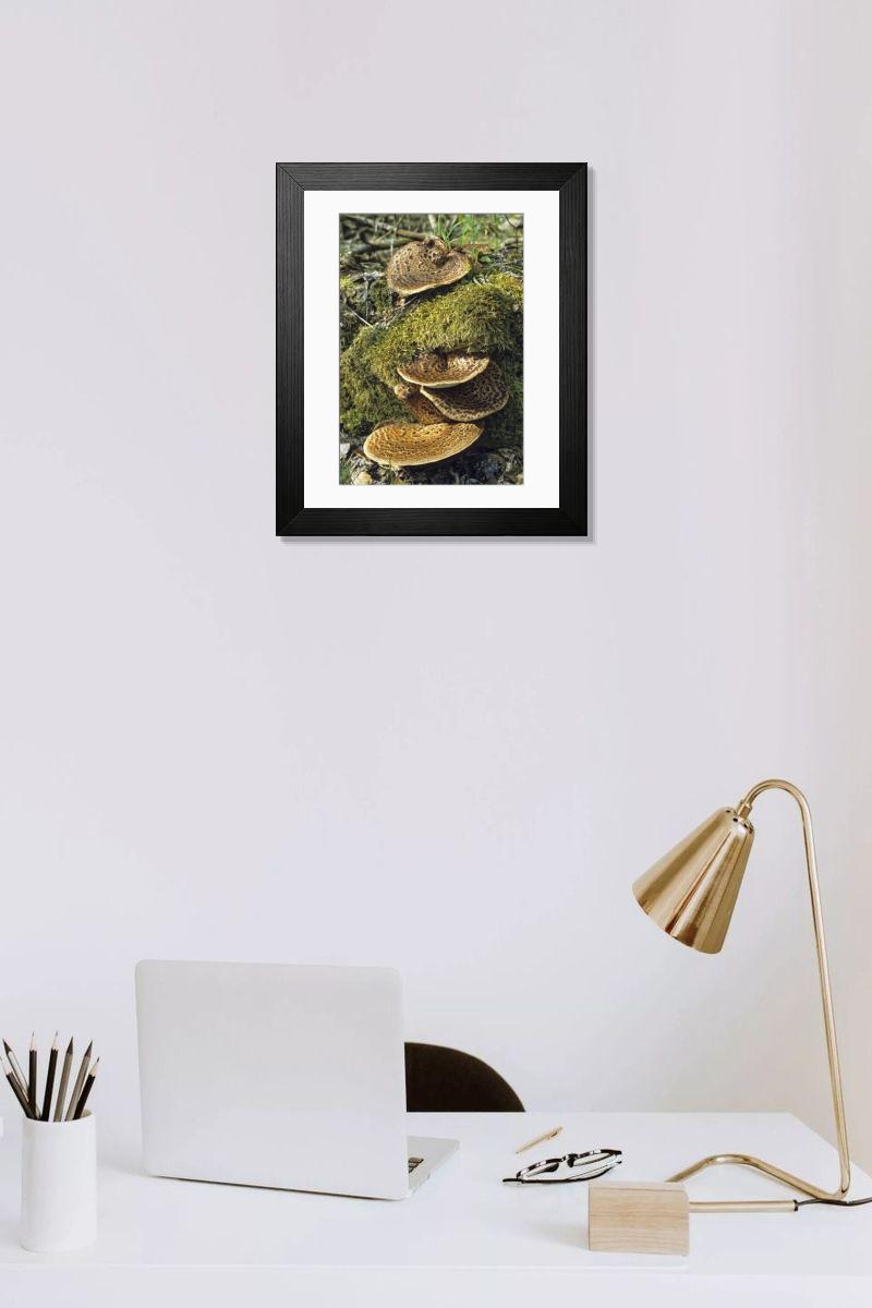 Shown hanging in a room: Modern 14"x12" (36x31cm)