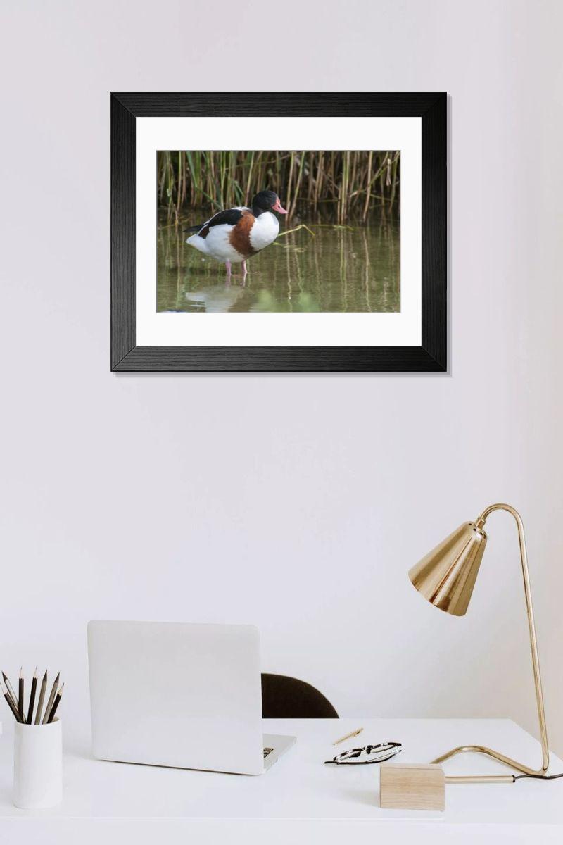 Shown hanging in a room: Modern 14"x12" (36x31cm)
