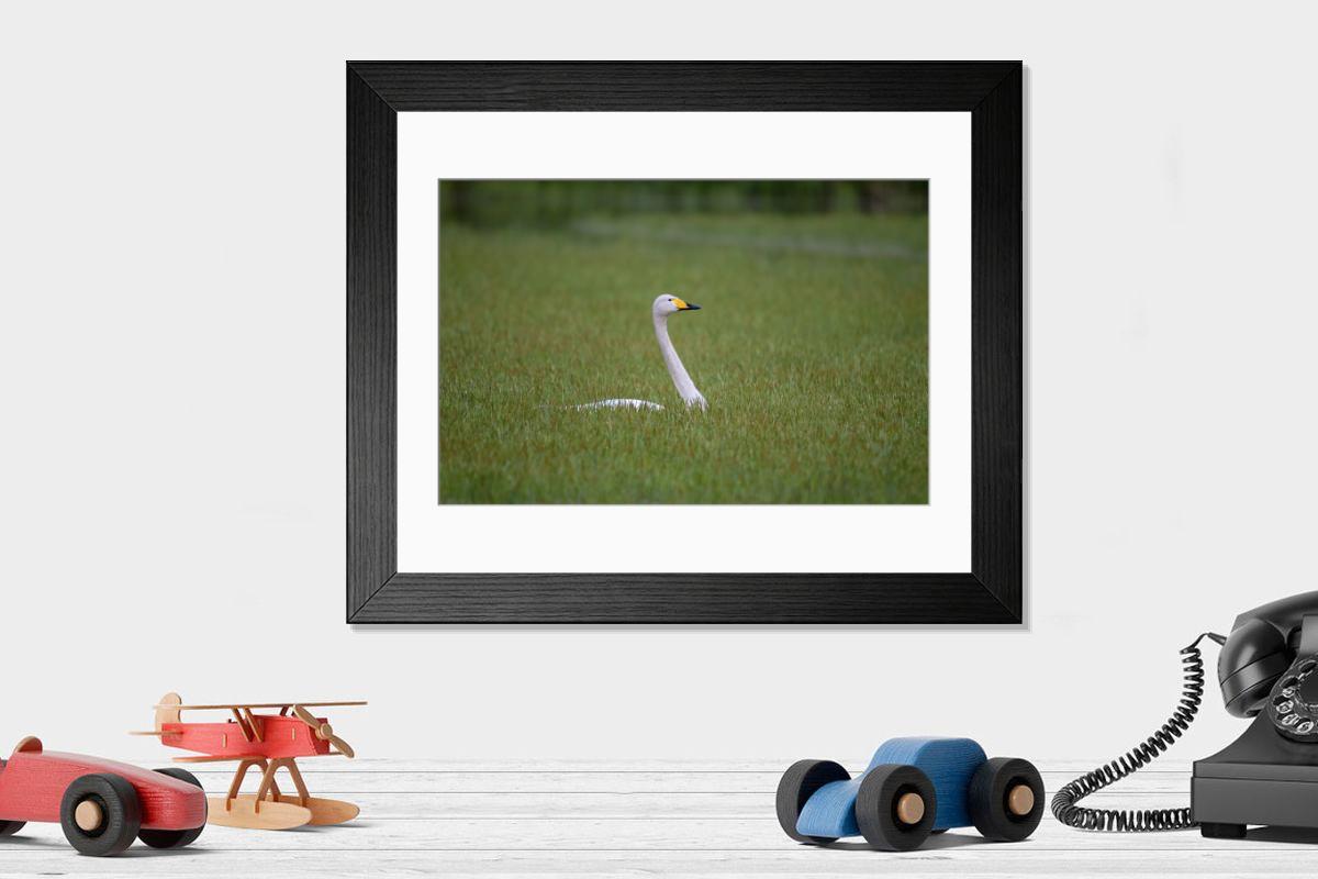 Shown hanging in a room: Modern 14"x12" (36x31cm)