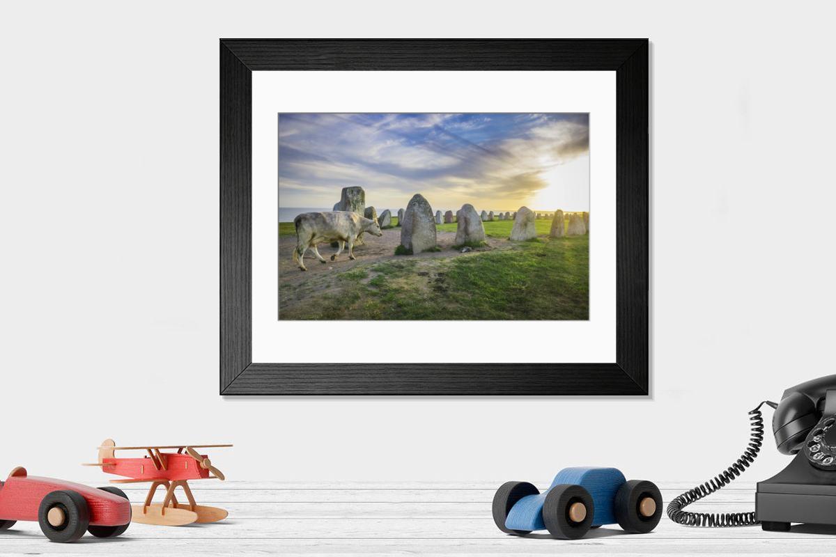 product preview 0