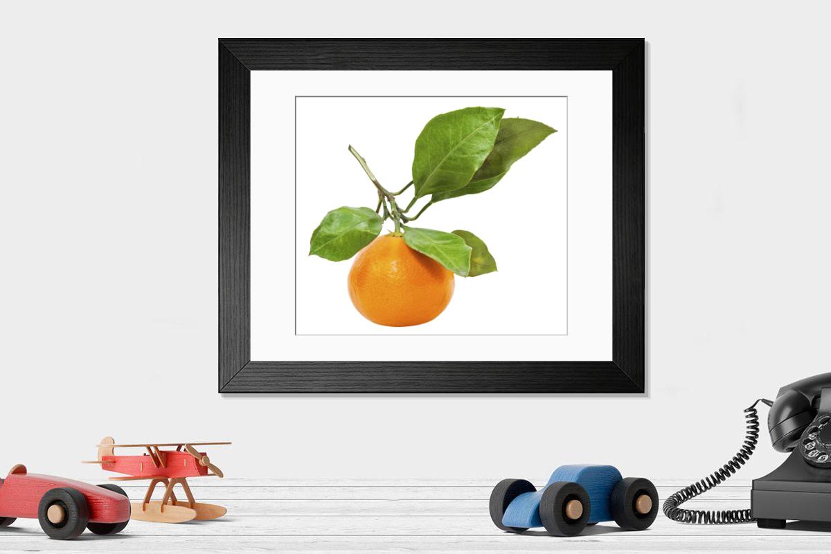 product preview 0