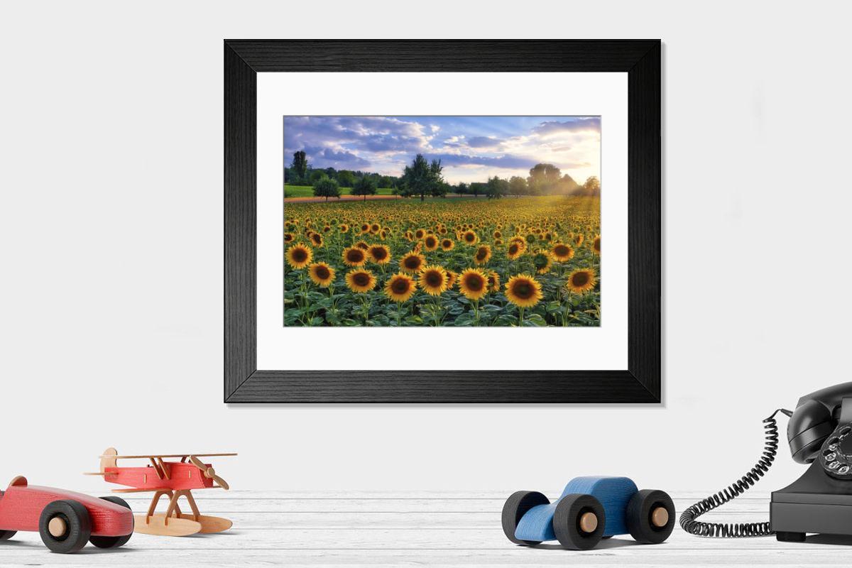 Shown hanging in a room: Modern 14"x12" (36x31cm)
