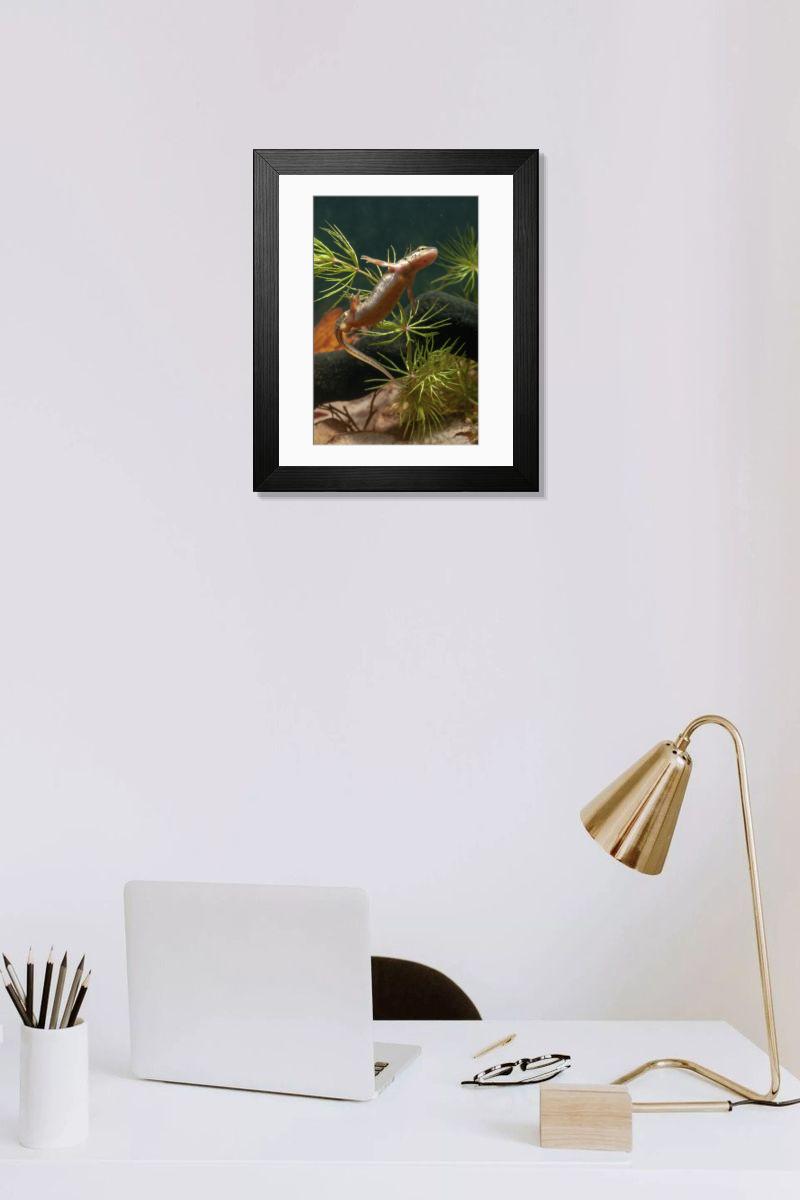 Shown hanging in a room: Modern 14"x12" (36x31cm)