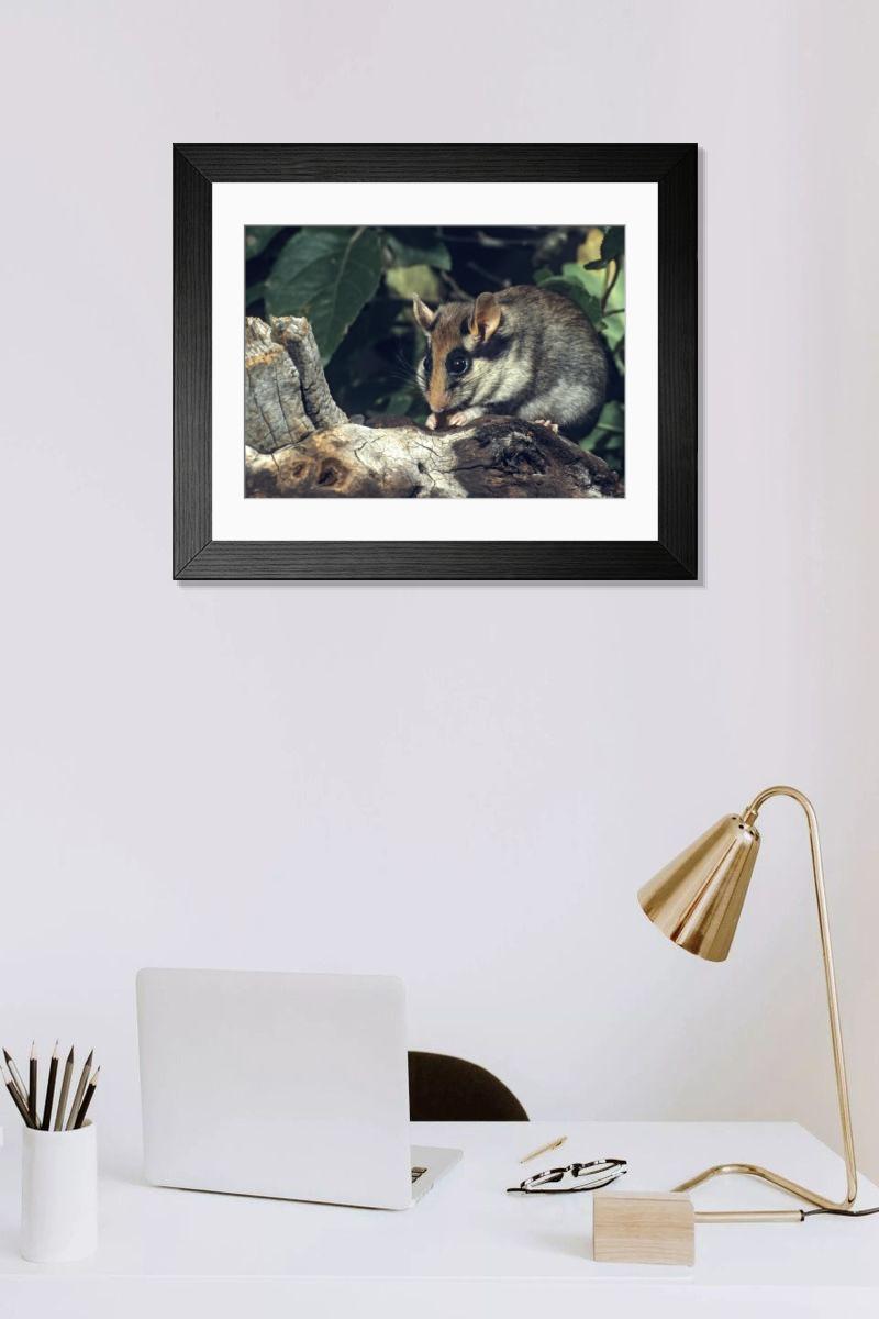 Shown hanging in a room: Modern 14"x12" (36x31cm)