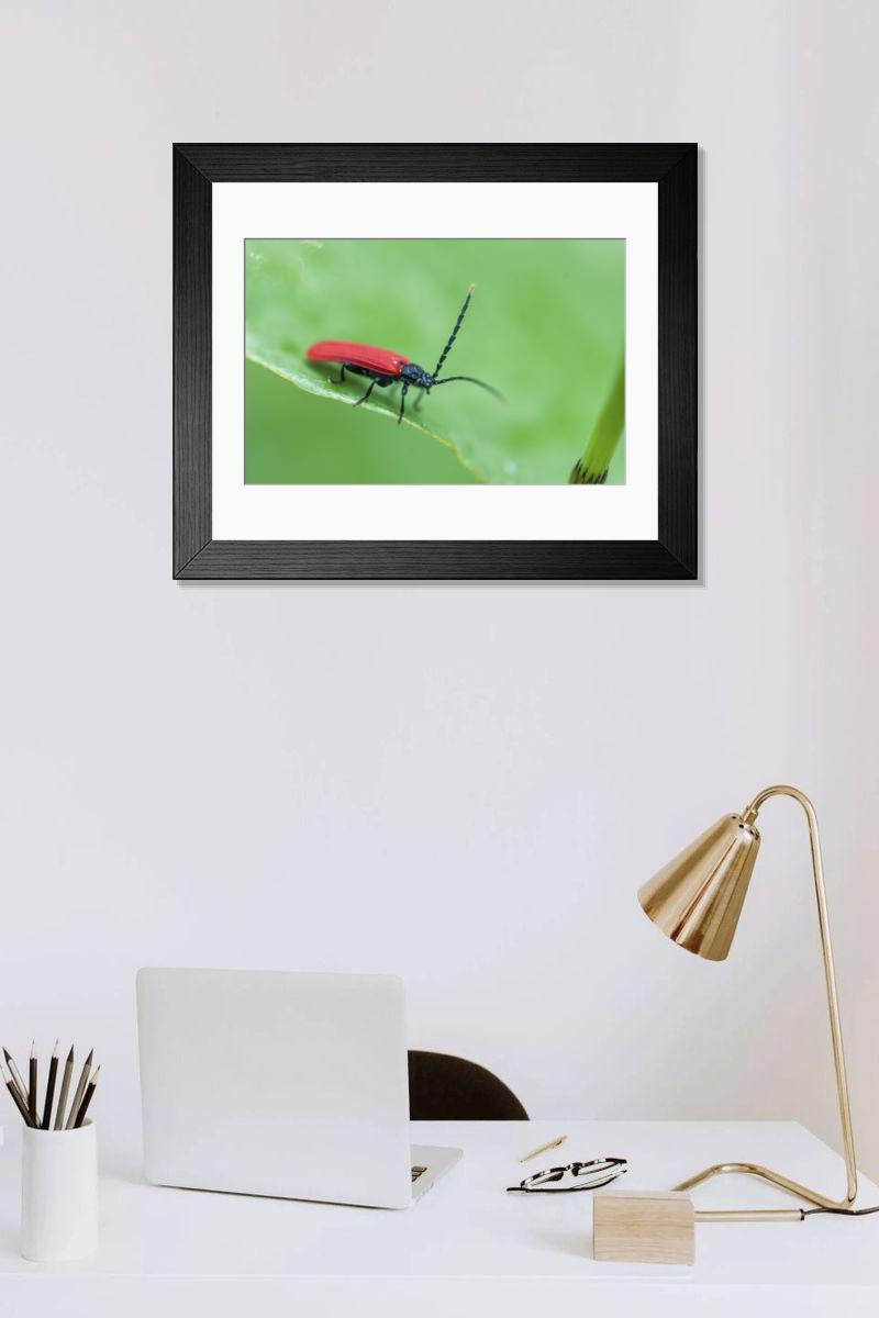 Shown hanging in a room: Modern 14"x12" (36x31cm)