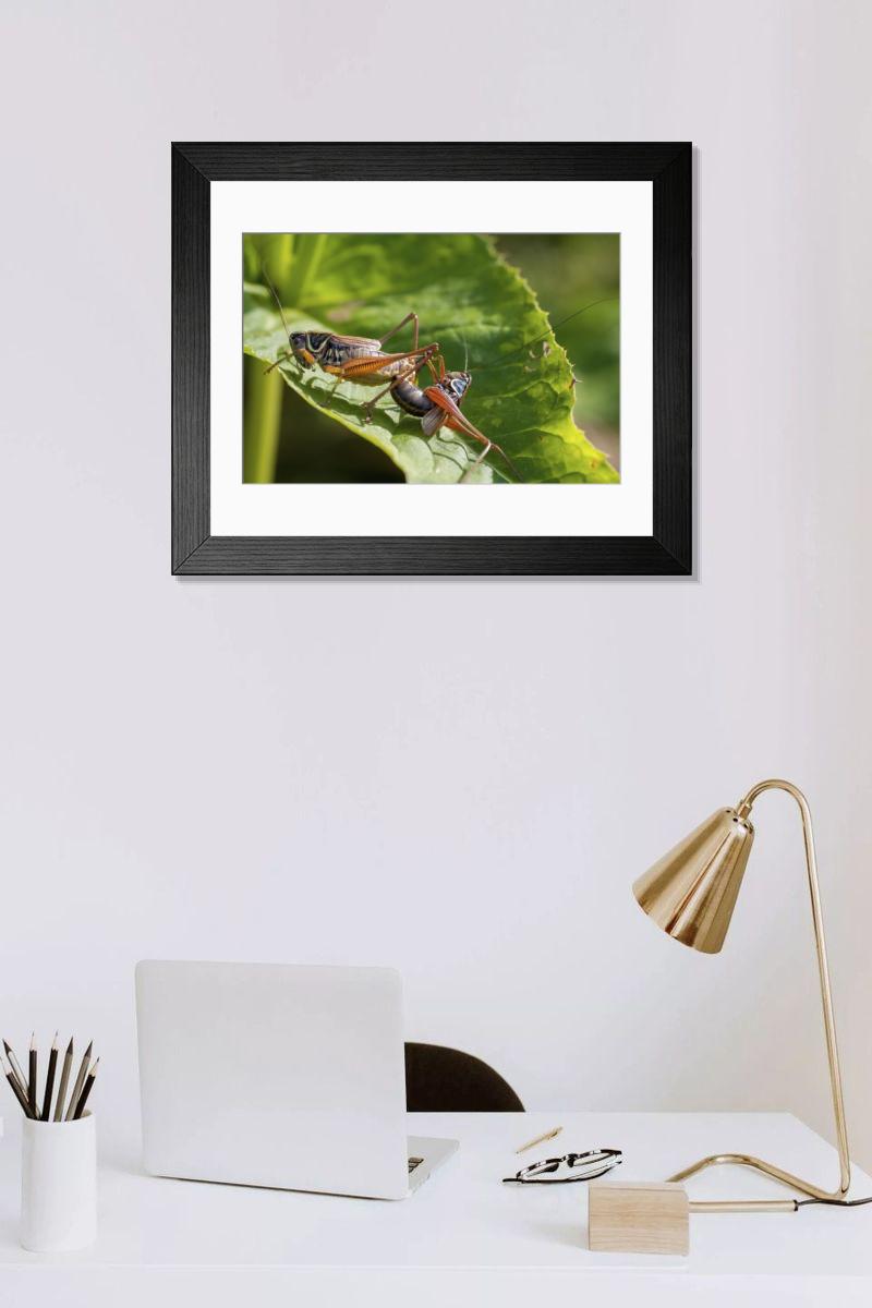 Shown hanging in a room: Modern 14"x12" (36x31cm)