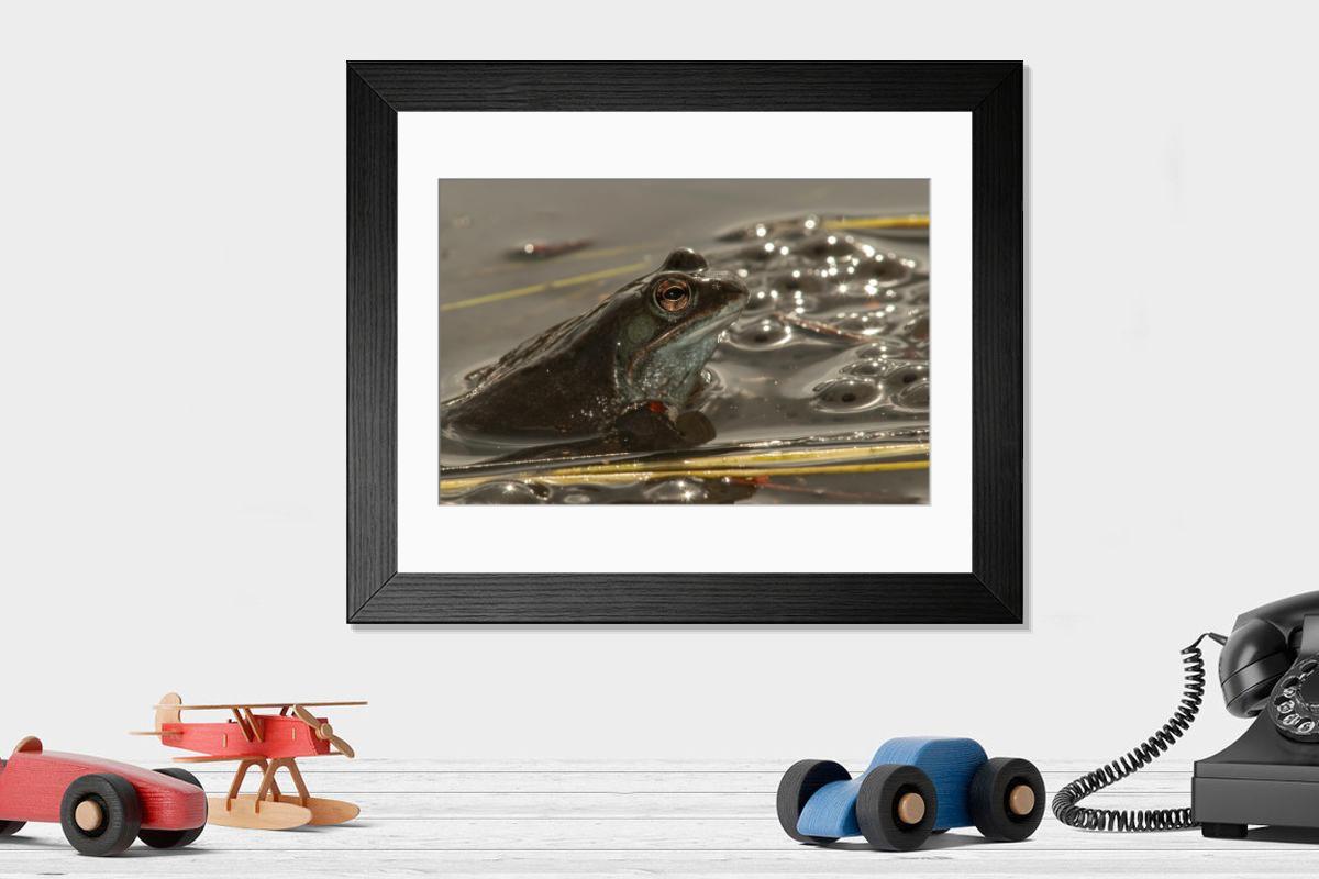 Shown hanging in a room: Modern 14"x12" (36x31cm)