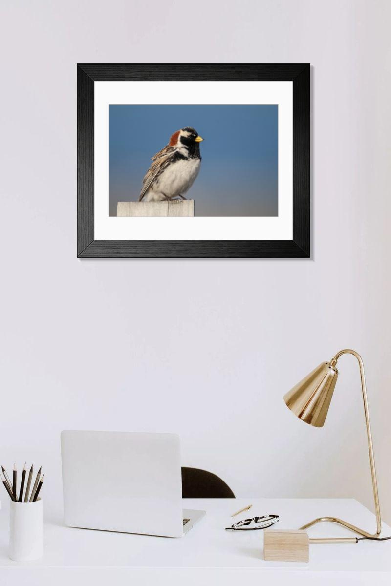Shown hanging in a room: Modern 14"x12" (36x31cm)