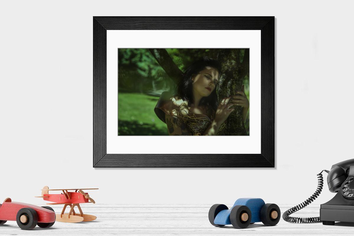 product preview 0