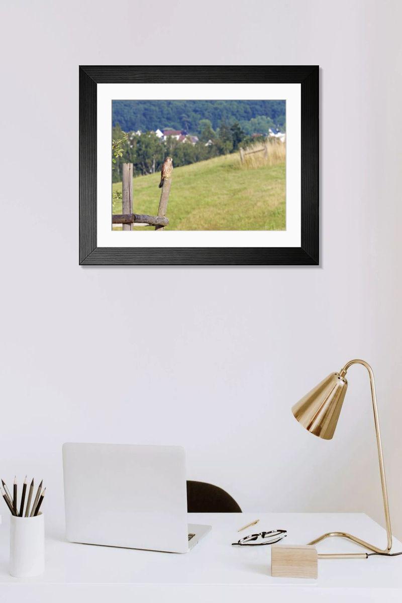 Shown hanging in a room: Modern 14"x12" (36x31cm)