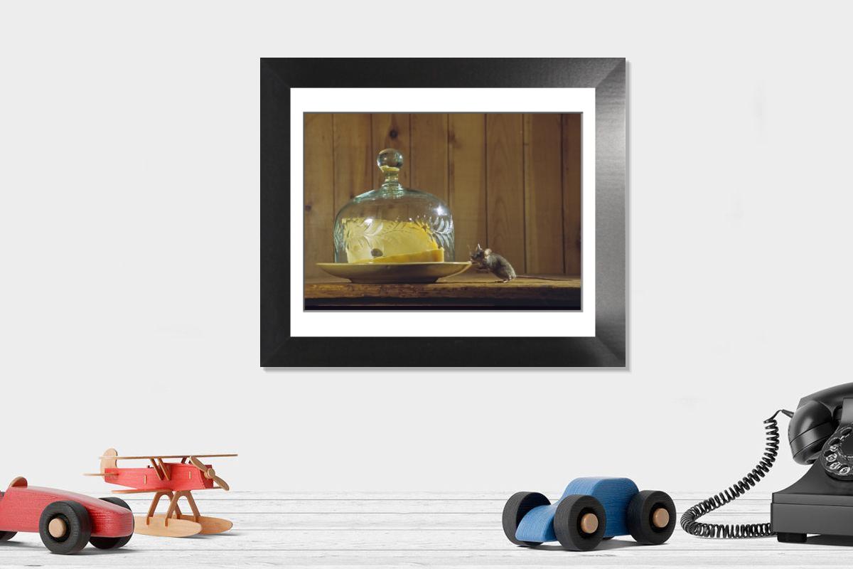 product preview 0