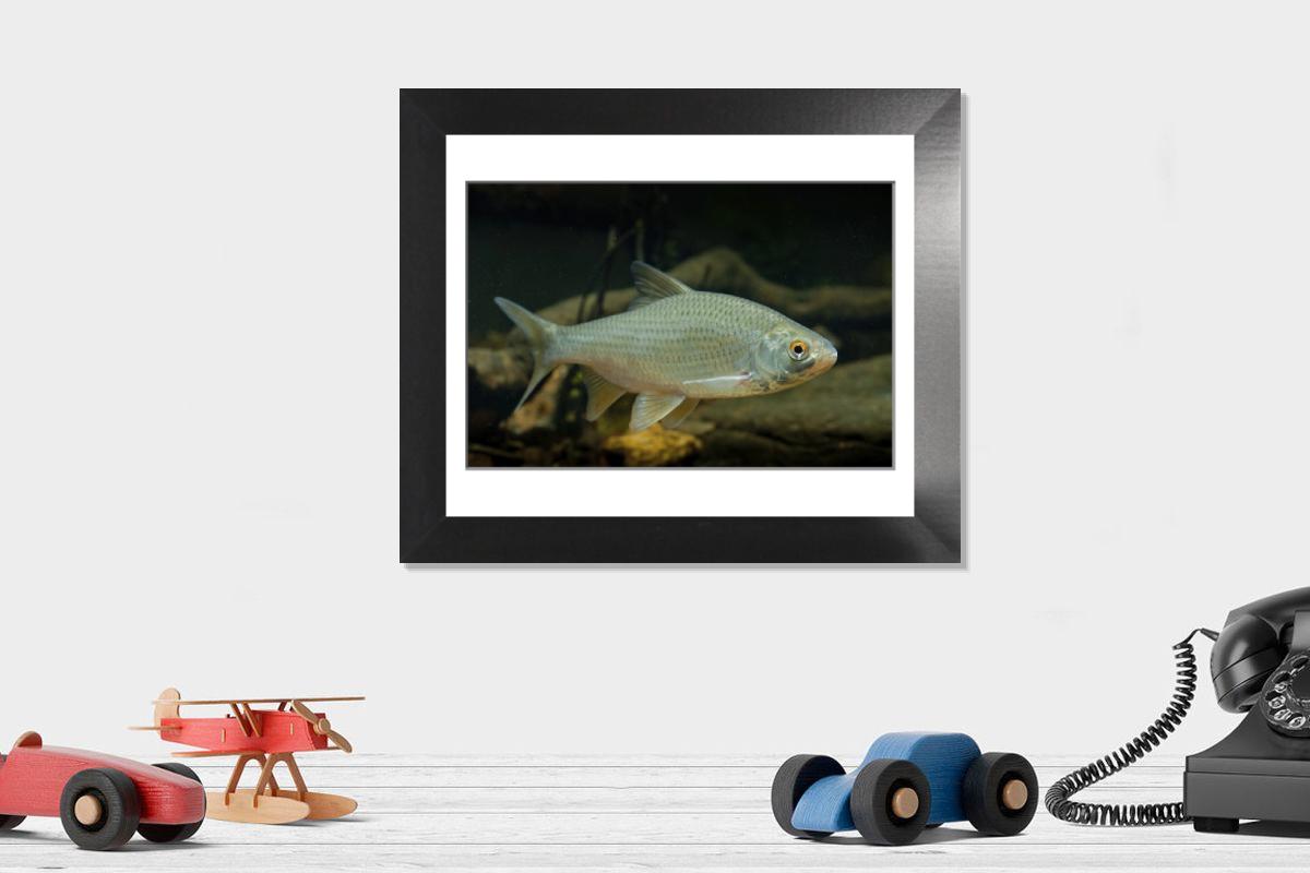 Shown hanging in a room: Modern 12"x10"