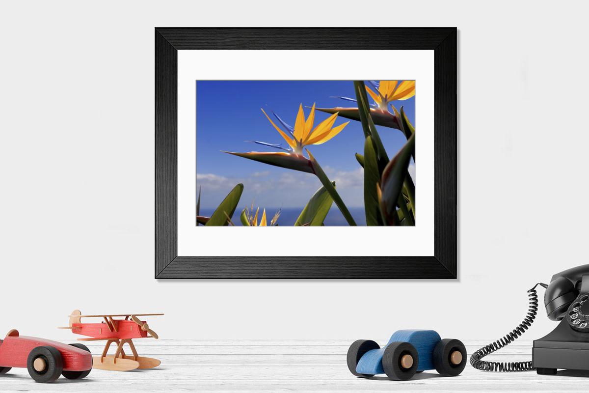 Shown hanging in a room: Modern 14"x12" (36x31cm)