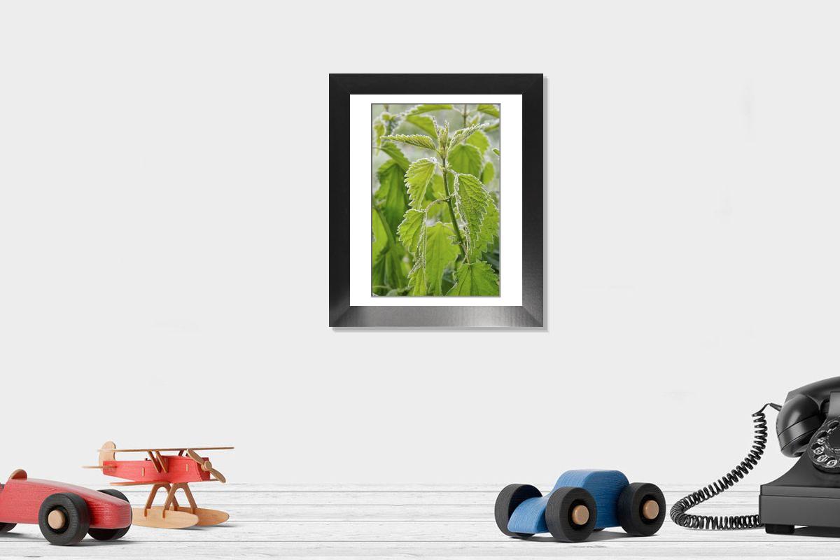 product preview 0