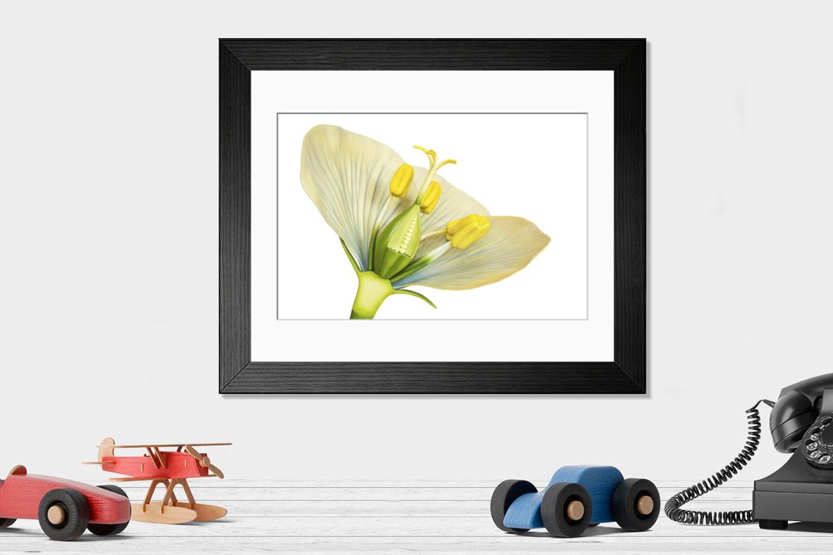 Shown hanging in a room: Modern 14"x12" (36x31cm)