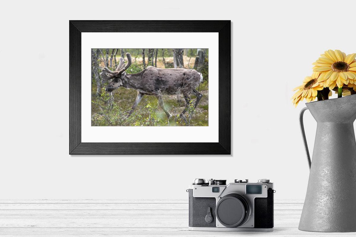 product preview 0
