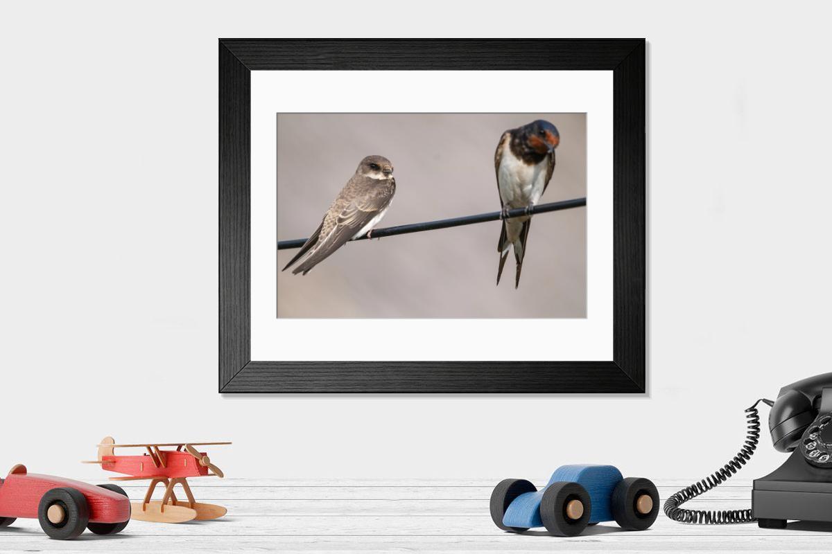 Shown hanging in a room: Modern 14"x12" (36x31cm)