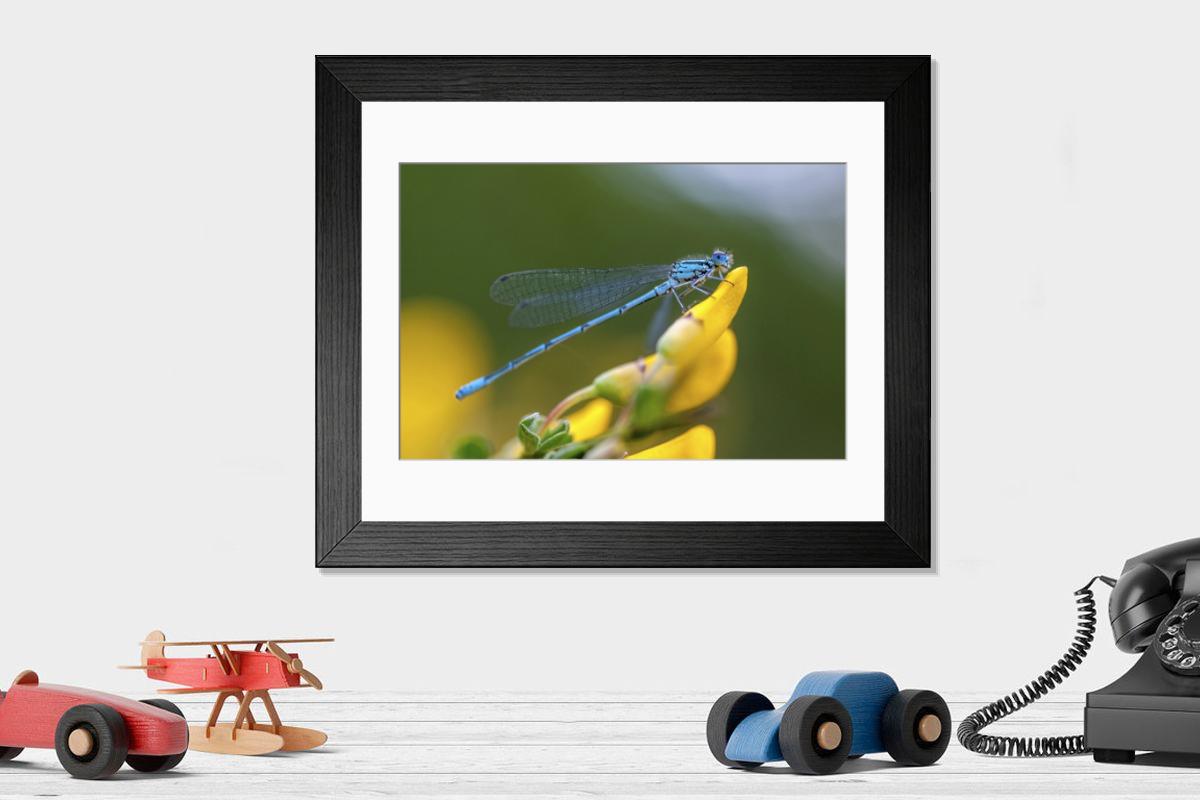 Shown hanging in a room: Modern 14"x12" (36x31cm)