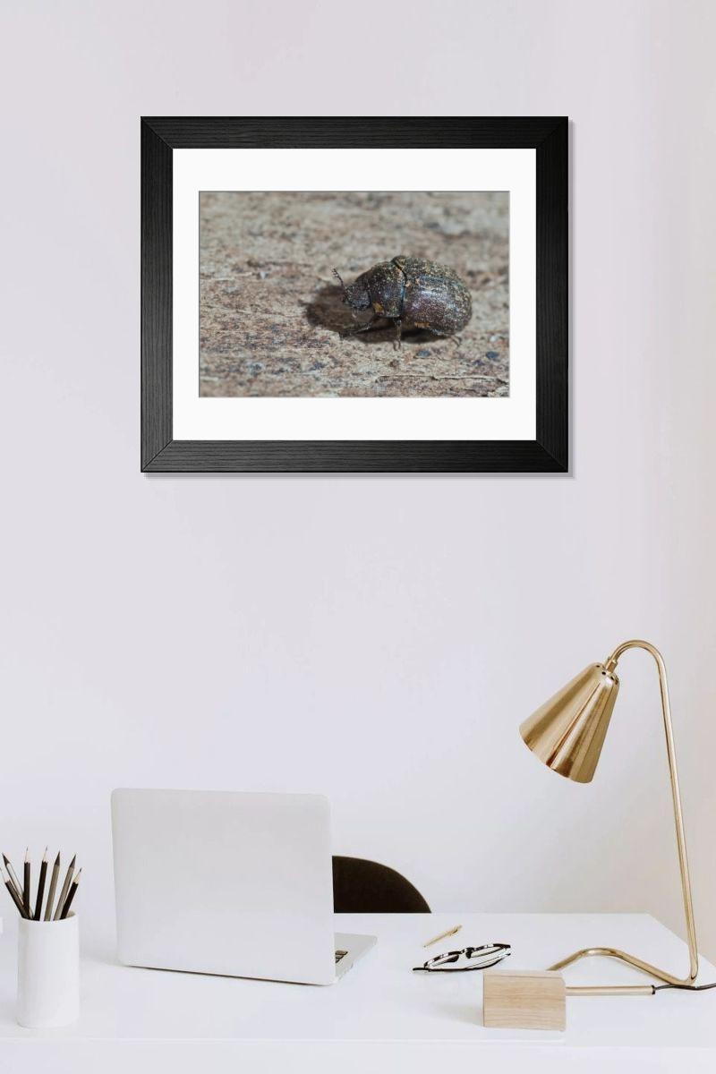 Shown hanging in a room: Modern 14"x12" (36x31cm)