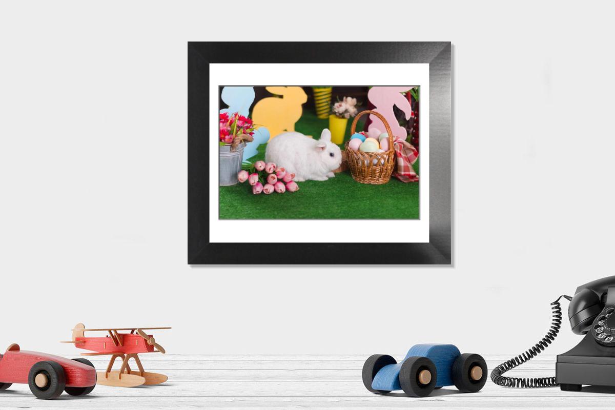 product preview 0