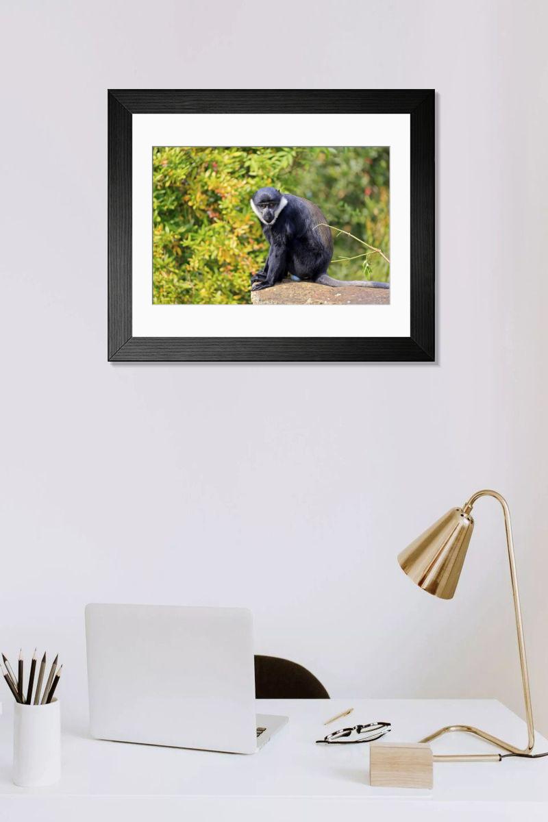 Shown hanging in a room: Modern 14"x12" (36x31cm)