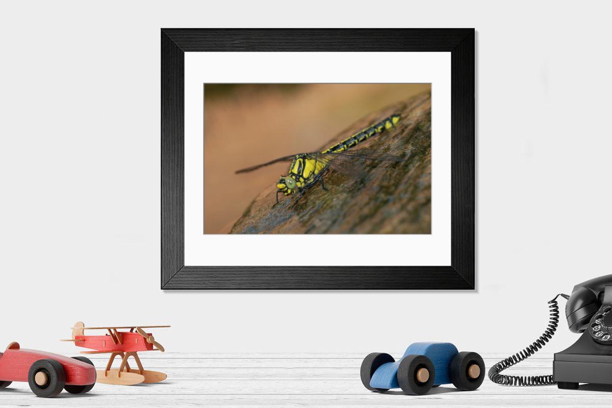 Shown hanging in a room: Modern 14"x12" (36x31cm)