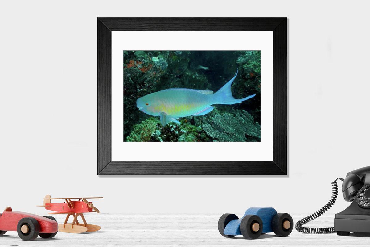 product preview 0