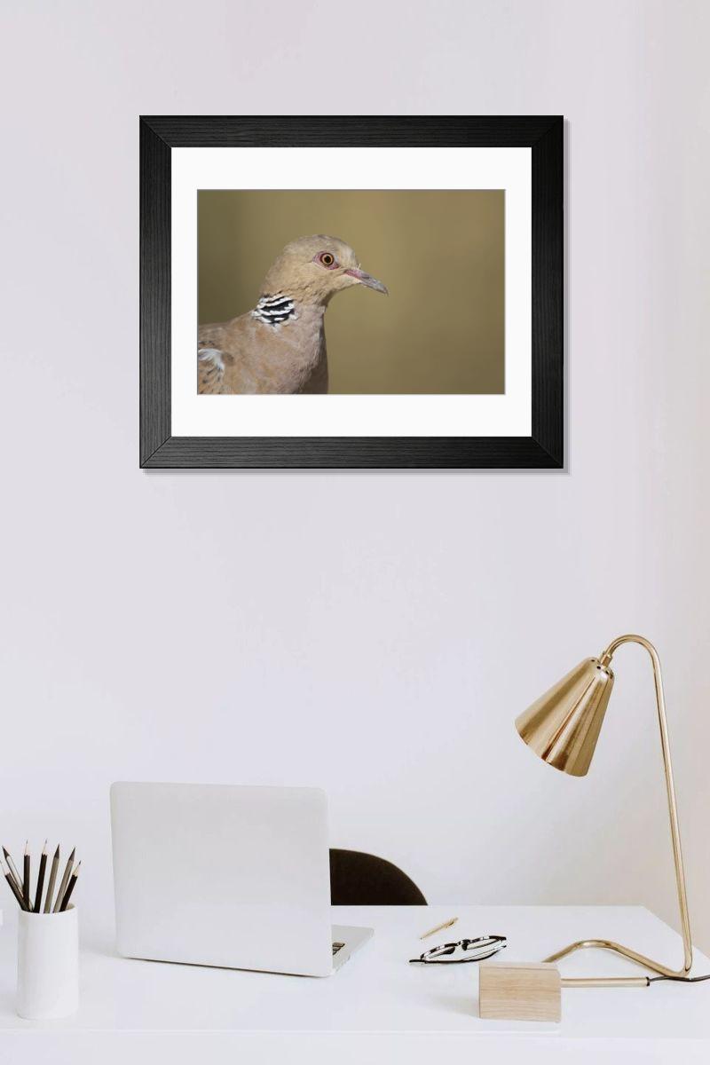 Shown hanging in a room: Modern 14"x12" (36x31cm)