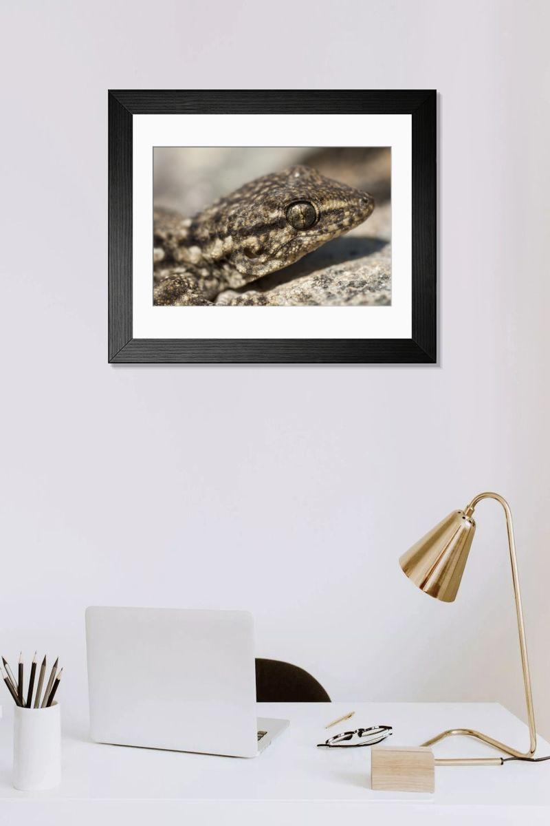Shown hanging in a room: Modern 14"x12" (36x31cm)