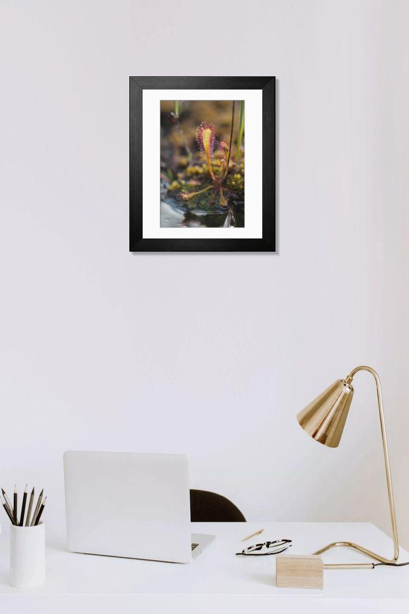 Shown hanging in a room: Modern 14"x12" (36x31cm)