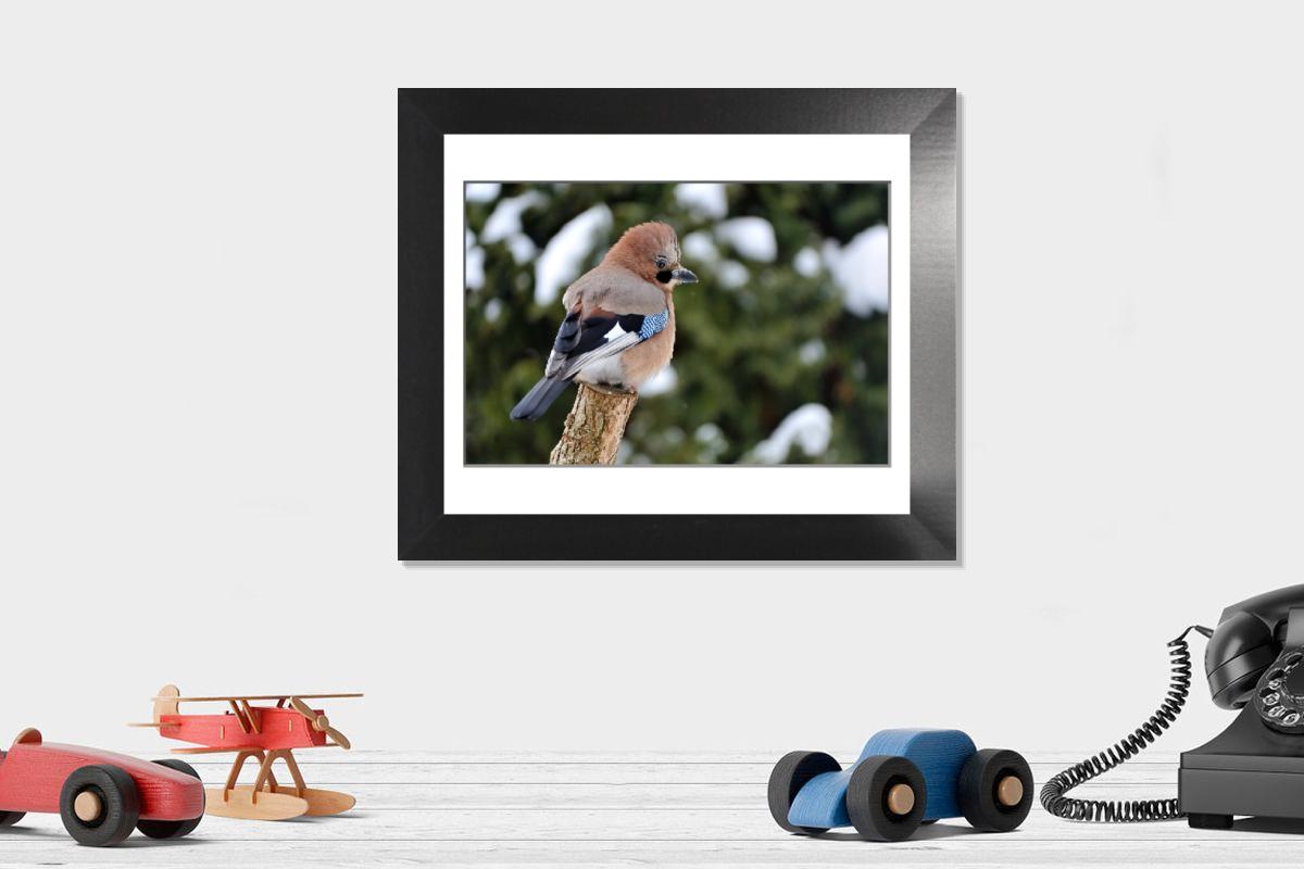 product preview 0