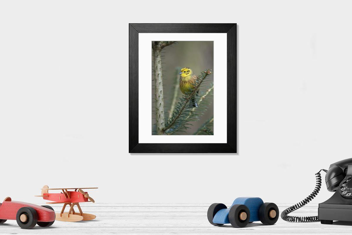 Shown hanging in a room: Modern 14"x12" (36x31cm)
