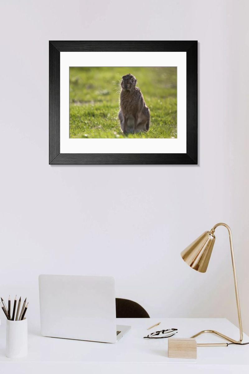 Shown hanging in a room: Modern 14"x12" (36x31cm)