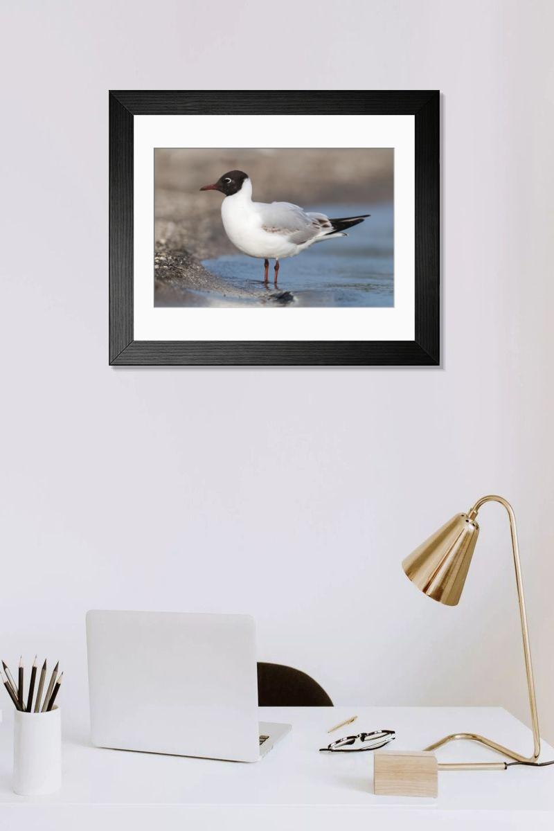 Shown hanging in a room: Modern 14"x12" (36x31cm)